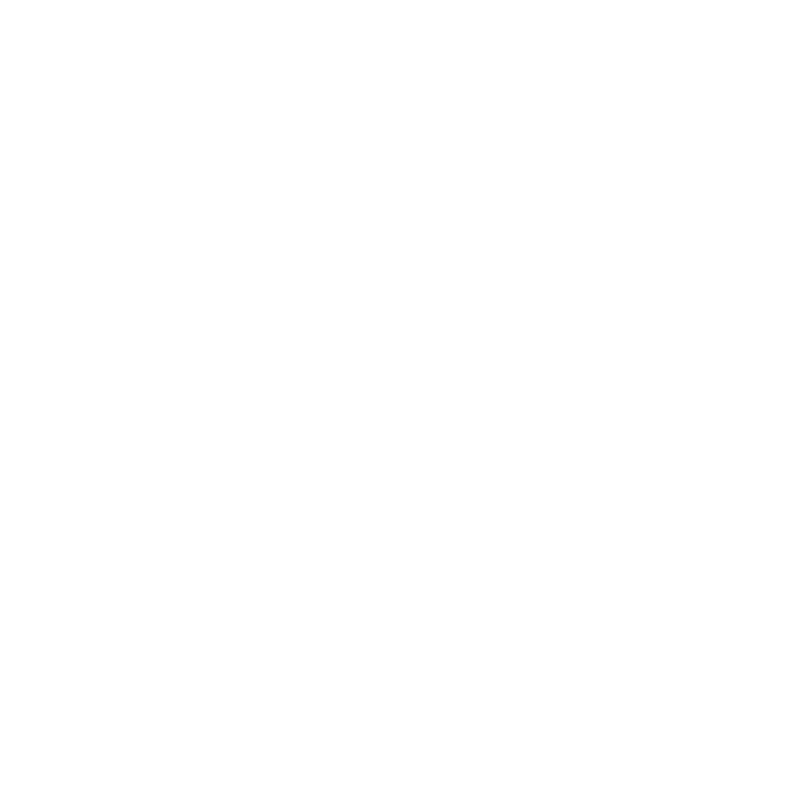 icone facebook