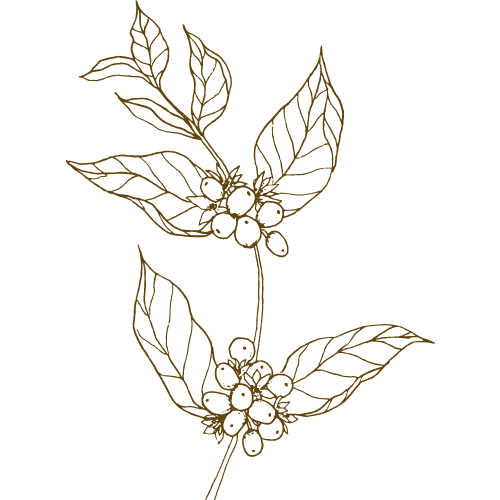 logo secção informação